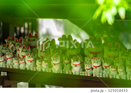 【東京都】たくさんの招き猫が圧巻の豪徳寺 125018433