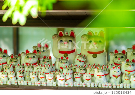 【東京都】たくさんの招き猫が圧巻の豪徳寺 125018434