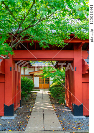 【東京都】夏の緑が綺麗な豪徳寺の赤門 【東京都】夏の緑が綺麗な豪徳寺の赤門 125018441