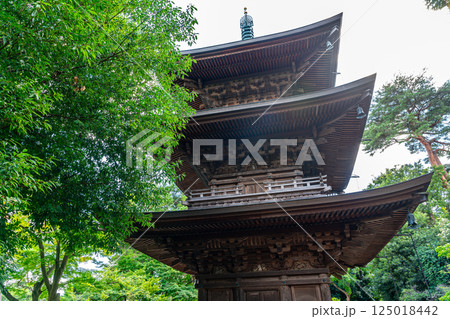 【東京都】夏の緑が綺麗な豪徳寺の三重塔 【東京都】夏の緑が綺麗な豪徳寺の三重塔 125018442
