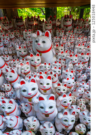 【東京都】たくさんの招き猫が圧巻の豪徳寺 【東京都】たくさんの招き猫が圧巻の豪徳寺 125018448