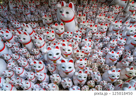 【東京都】たくさんの招き猫が圧巻の豪徳寺 125018450