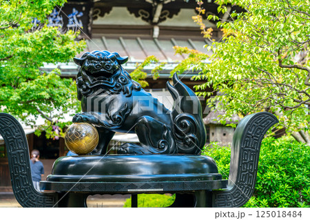 【東京都】夏の緑が綺麗な豪徳寺の境内大香炉 【東京都】夏の緑が綺麗な豪徳寺の境内大香炉 125018484