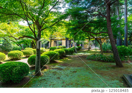 【東京都】夏の緑が綺麗な豪徳寺の境内 125018485