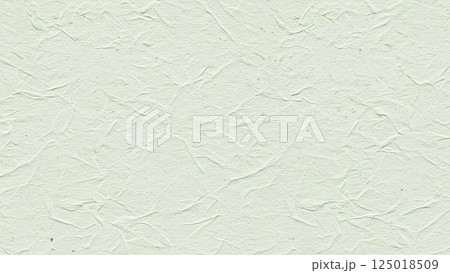 和紙のテクスチャー素材 125018509