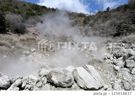 雲仙地獄温泉の湯けむり 雲仙地獄温泉の湯けむり 125018637