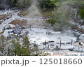 雲仙地獄の湯けむり 125018660