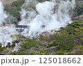 雲仙地獄の湯けむり 125018662