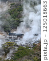 雲仙地獄の湯けむり 125018663
