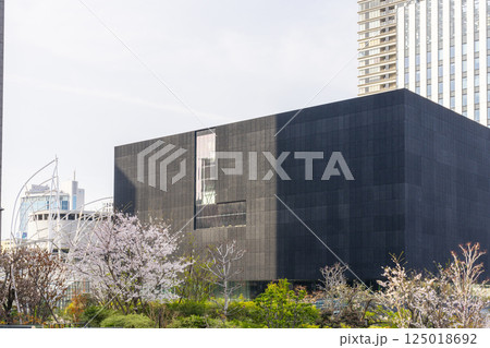 大阪中之島美術館と満開の桜 大阪中之島美術館と満開の桜 125018692