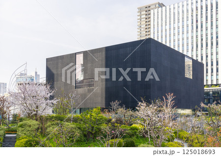 大阪中之島美術館と満開の桜 大阪中之島美術館と満開の桜 125018693