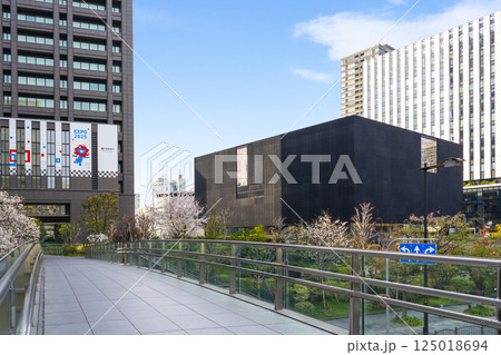 大阪中之島美術館と満開の桜 125018694