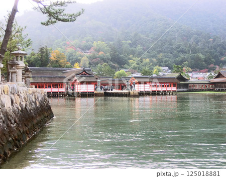 厳島神社（広島県廿日市市） 125018881