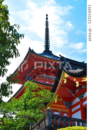 新緑が眩しい京都 清水寺 125018951