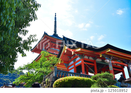 新緑が眩しい京都 清水寺 125018952