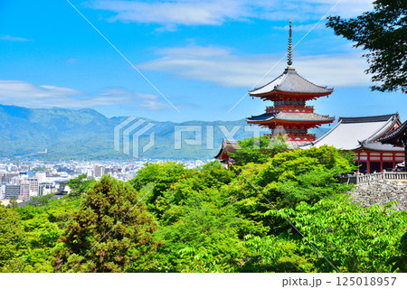 新緑が眩しい京都 清水寺 新緑が眩しい京都 清水寺 125018957