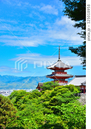 新緑が眩しい京都 清水寺 125018958