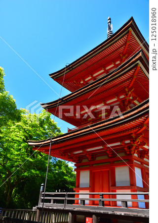 新緑が眩しい京都 清水寺 125018960