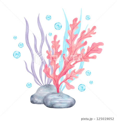 Seaweed with stones and bubbles. Watercolor composition illustration. Ocean fauna life. Marine art of underwater plants. Hand drawn isolated art. For marine theme, nature, children's projects,tourism. 125019052