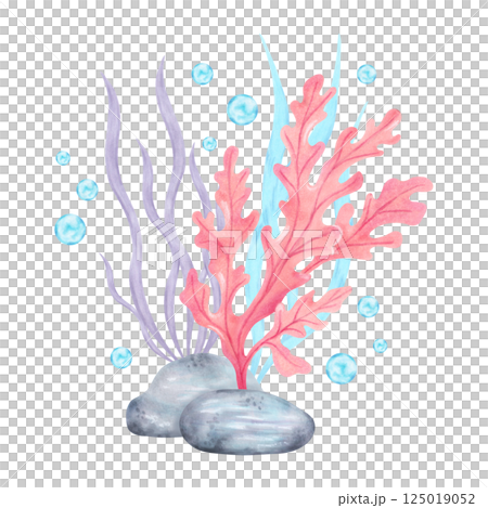 Seaweed with stones and bubbles. Watercolor composition illustration. Ocean fauna life. Marine art of underwater plants. Hand drawn isolated art. For marine theme, nature, children's projects,tourism. 125019052