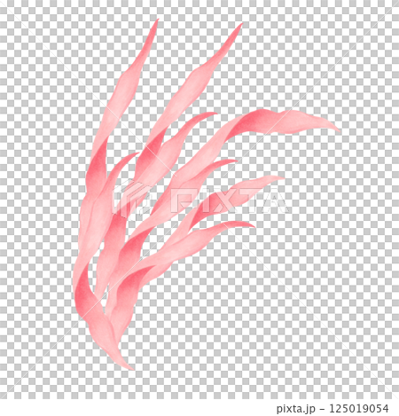 Graceful undulating seaweed. Watercolor illustration. Branches of peach seaweed in motion. Marine clipart of underwater plants. Hand drawn isolated art. For marine themes, nature, children's projects. 125019054