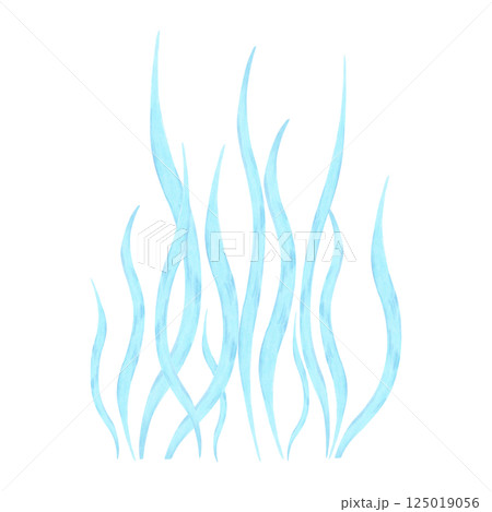 Underwater plant, seaweed. Watercolor and marker illustrations. Sea blue botanical algae. Hand drawn isolated art. Ocean flora shape. Suitable for cosmetology, children's room, tourism themes. 125019056