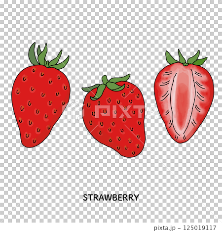いちごの線画のイラスト 125019117