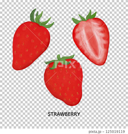 いちごの色鉛筆タッチのイラスト 125019119