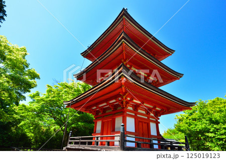 新緑が眩しい京都 清水寺 新緑が眩しい京都 清水寺 125019123