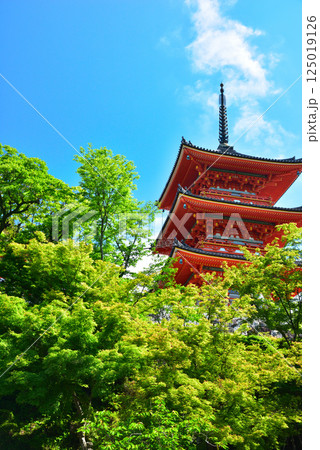 新緑が眩しい京都 清水寺 125019126