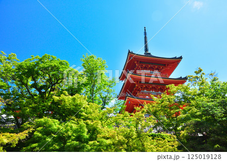 新緑が眩しい京都 清水寺 125019128