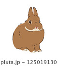 うさぎ 125019130