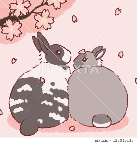 桜 桜 125019133