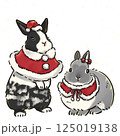 クリスマス　背景透過 125019138