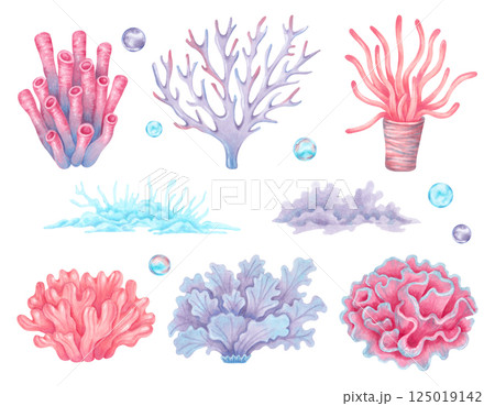Set of sea corals with bubbles. Colorful ocean coral reefs. Watercolor illustration. Hand drawn isolated art. Underwater seabed animal for kids room, shower, guidebook design. Nature ecosystem 125019142