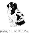 白黒うさぎ 125019152
