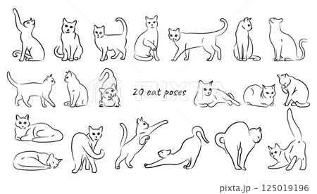 Cats line poses set on white background Cats line poses set on white background 125019196