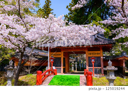 福島県相馬市の涼ケ岡（すずみがおか）八幡神社と桜 125019244