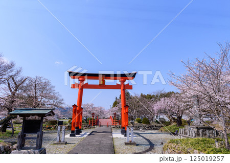 福島県相馬市の涼ケ岡(すずみがおか)八幡神社と桜 福島県相馬市の涼ケ岡(すずみがおか)八幡神社と桜 125019257