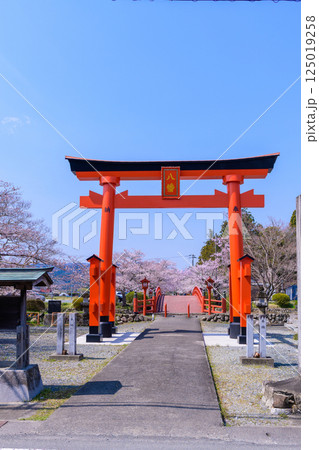 福島県相馬市の涼ケ岡(すずみがおか)八幡神社と桜 福島県相馬市の涼ケ岡(すずみがおか)八幡神社と桜 125019258