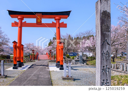福島県相馬市の涼ケ岡（すずみがおか）八幡神社と桜 125019259