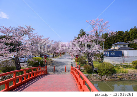 福島県相馬市の涼ケ岡（すずみがおか）八幡神社と桜 125019261