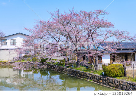 福島県相馬市の涼ケ岡(すずみがおか)八幡神社と桜 福島県相馬市の涼ケ岡(すずみがおか)八幡神社と桜 125019264