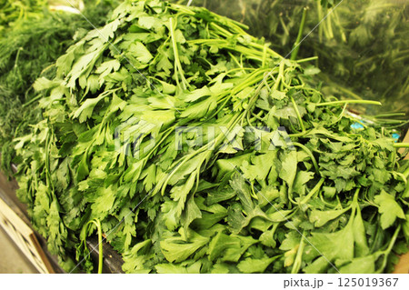 Green parsley background, general plan. Green Background Green parsley background, general plan. Green Background 125019367