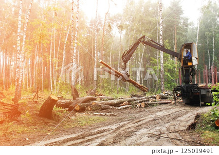 Harvesting ripe wood with a tractor. Equipment for working in difficult conditions Harvesting ripe wood with a tractor. Equipment for working in difficult conditions 125019491