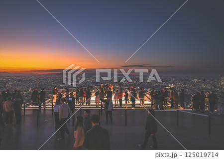 City View From Modern Observation Deck Shibuya Dec 4 2024 125019714