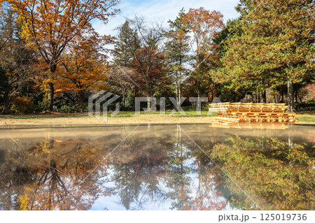 Serene Japanese Garden Landscape with Reflective Pond Dec 4 2024 125019736