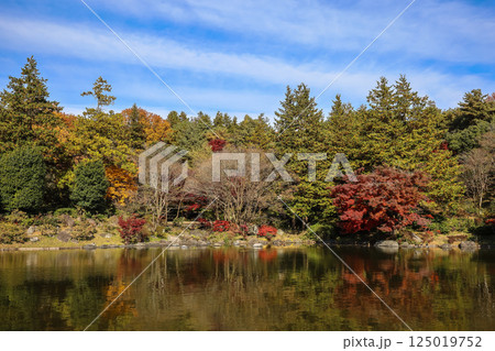 Serene Japanese Garden Landscape with Reflective Pond Dec 4 2024 Serene Japanese Garden Landscape with Reflective Pond Dec 4 2024 125019752