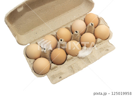 Light brown organic raw chicken eggs with feather in package isolated on white background. Light brown organic raw chicken eggs with feather in package isolated on white background. 125019958