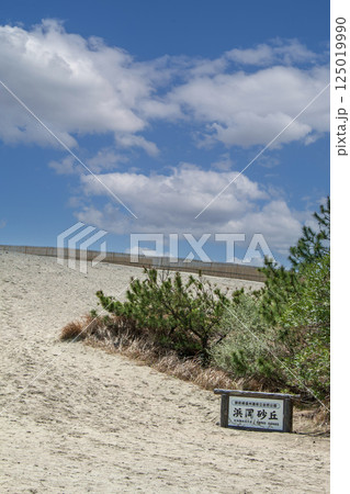 晴天の浜岡砂丘(静岡県 御前崎市) 晴天の浜岡砂丘(静岡県 御前崎市) 125019990